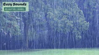 🌳 Forest Heavy Rain and Distant Thunder-Sounds for SLEEP &amp; Relaxing-Study-8 Hours of PURE RAIN