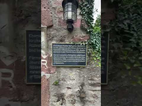 Rheinsteig 18. Etappe Rüdesheim - Johannisberg (Nord-Süd) 18.09.22