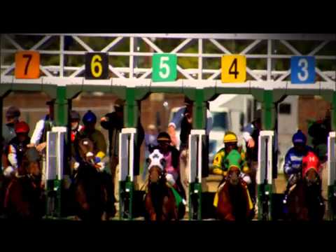 LEX18 138TH KY DERBY OPEN