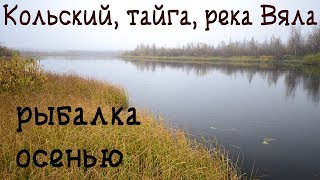 Ссылка