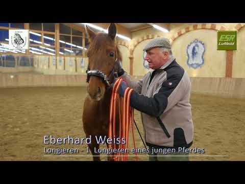 2 2 Pferde richtig Longieren Praxis-1: Kappzäumung