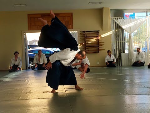 Birankai Aikido & Iaido: San Diego Aikikai Holiday Seminar 2018