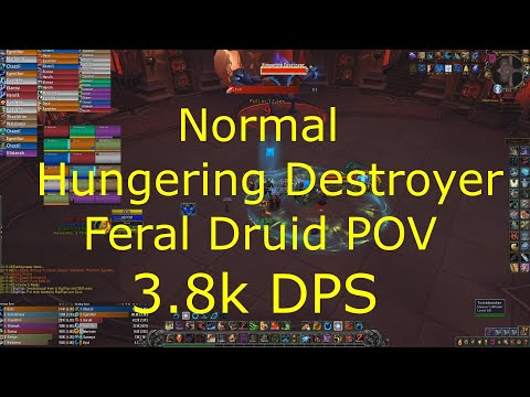 Shadowlands 9.0.2 Feral Druid POV - Hungering Destroyer Normal Guide - 3.8k DPS - Guild Comms