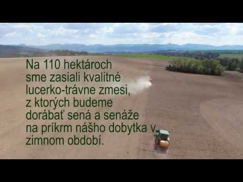 FARMA LUTILA - SEJBA