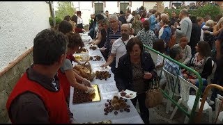 PUJERRA CELEBRÓ CON ÉXITO SU FIESTA DE LA CASTAÑA 2019