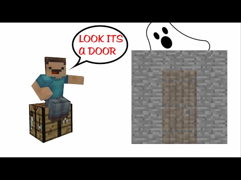 Minecraft completly hidden redstone door!