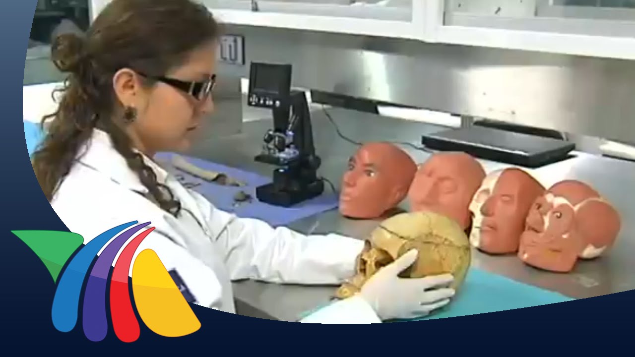 Arte forense y recontrucción facial | Noticias