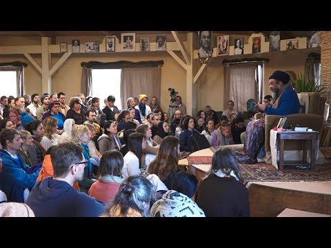 Learn to Observe: Look But Don't Link