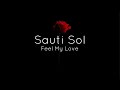 Sauti Sol - Feel my love lyrics