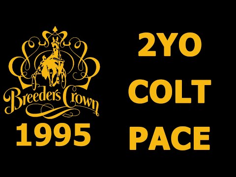 1995 Breeders Crown - John Street North - 2YO Colt Pace