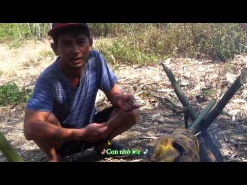 Mama (Xa mẹ con sống sao) - Kim Anh