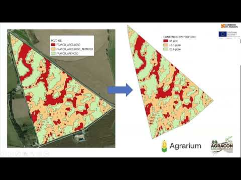 Fotograma del vídeo: III Seminario Suelos Vivos - José Ramón Acín [ponencia "Agricultores hablando desde la experiencia".