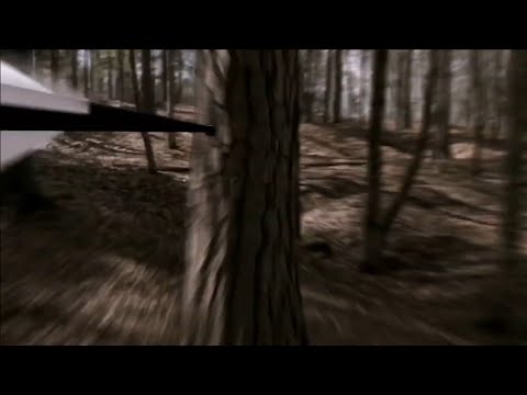 MultiFandom Finish Line AMV (13k  Sub Special) [ U Pick, I Vid ]