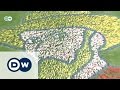 125 Years Of Vincent Van Gogh Euromaxx