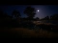 The Windswept Grasslands On A Moonlit Night Wind Sounds Ambiance For Good Sleep