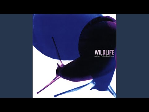 Brachyteles アラクノイデス範囲マップ.svg