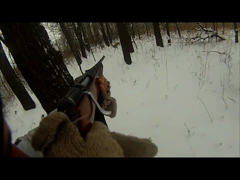 загонная охота.наши лучшие моменты!collective hunting. best moment
