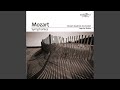 Symphony No. 9 in C Major, K. 73: III. Menuetto - Trio