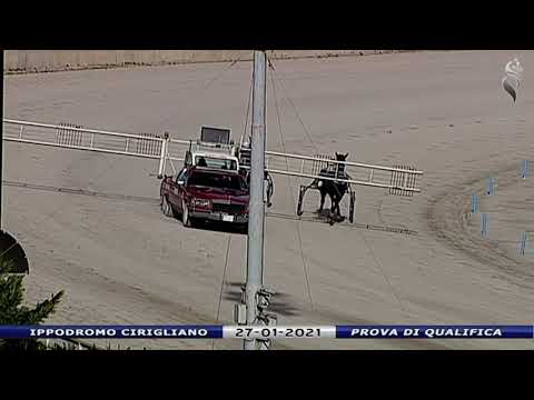 Aversa trotto 27 Gennaio 2021 - Prova di qualifica