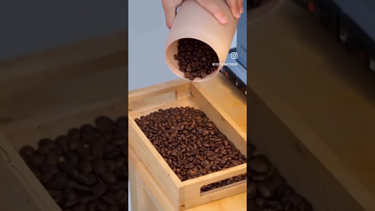 The Hidden Realities of the Coffee Industry
