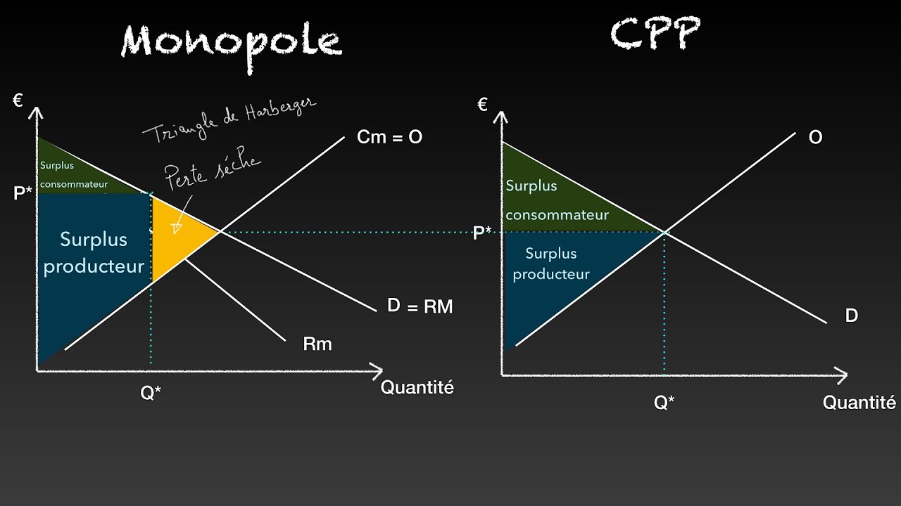 ✅ Comparaison entre un marché en monopole et un marché en concurrence pure et parfaite