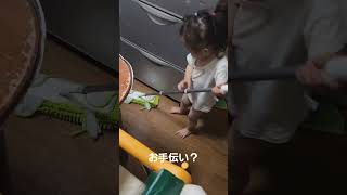 お手伝いひーさん