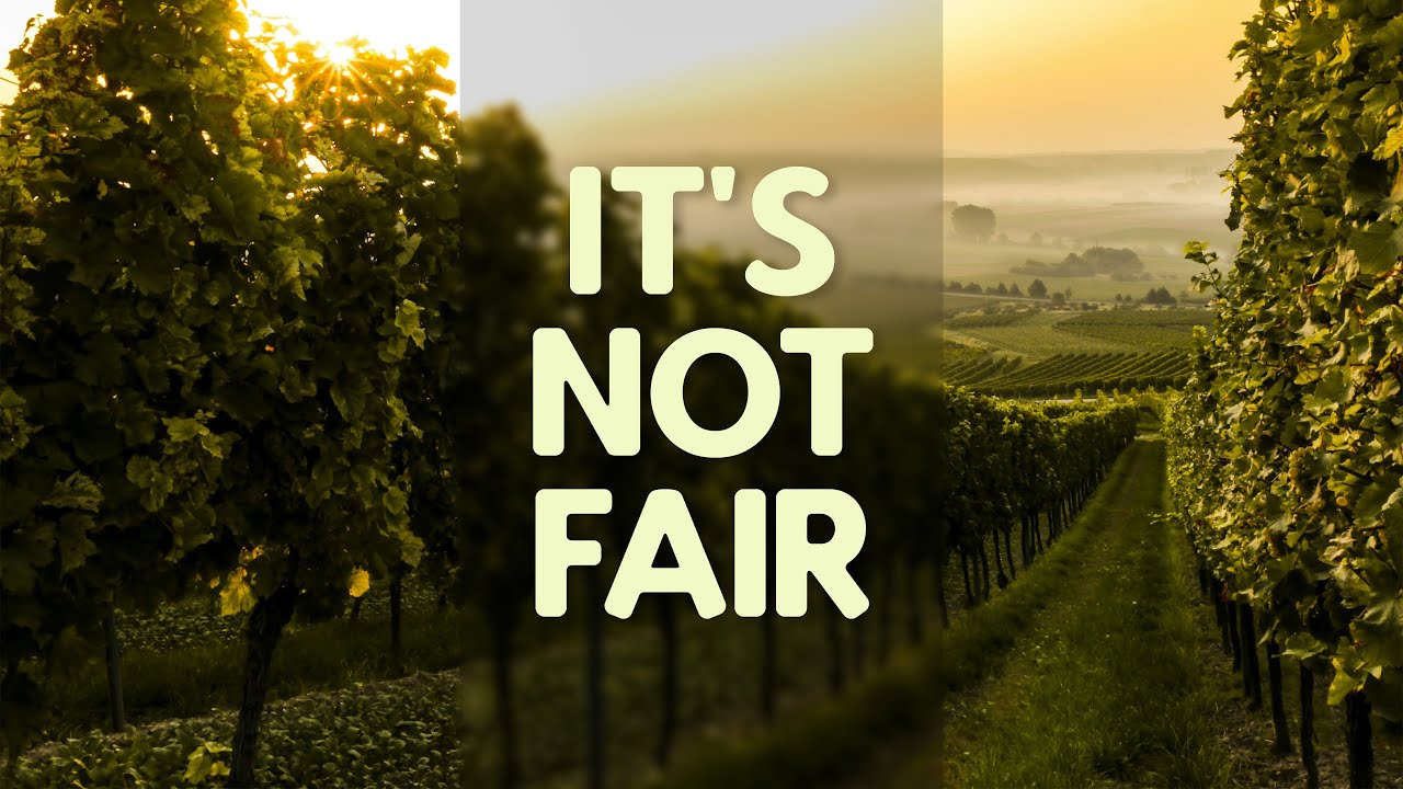 It's Not Fair | 5/5