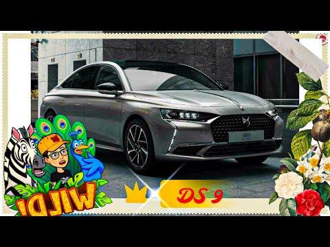 DS9 :a jewel of sophistication /ds 9 2022 review 🚗😍❤️