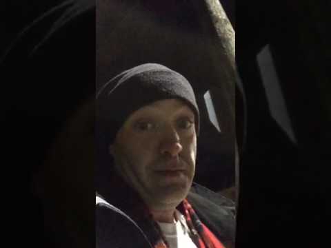 newmanthedog 2016 12 06 17 41 06