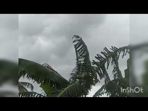 Rain Look in Village || Bhumitpatel25 ||