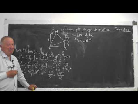 3/3 967 Teste geometrie plana - Arii Teorema lui Pitagora, Catetei, Inaltimii, Bisectoarei Clasa 7