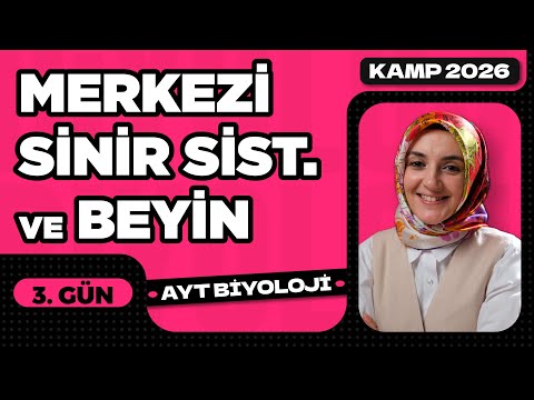 3) Central Nervous System and Brain | 11th Grade Biology | 2026 AYT Biology Camp Video 3