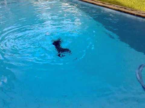 Un mio cliente che da poco aveva finito il corso mi chiama per vedere...