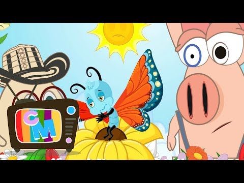 Fluturas, nu mai ai aripioare - Clopotelul Magic - cantece pentru copii