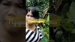 Download lagu ngapak Banyumas mp3