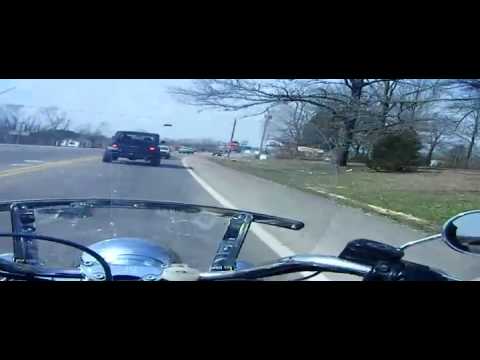 March Madness2: Alpacas, Boomers, Camels, Elephants, and Roos, OH MY