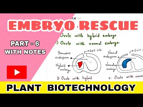 Plant tissue culture technique Step by step process Procedure Bio science