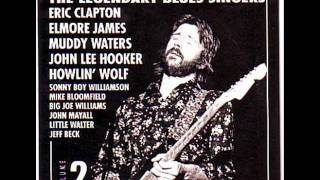 Big Joe Williams - Baby, Please Don't Go (Live)