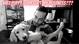 Reselling on eBay and Raising a Puppy