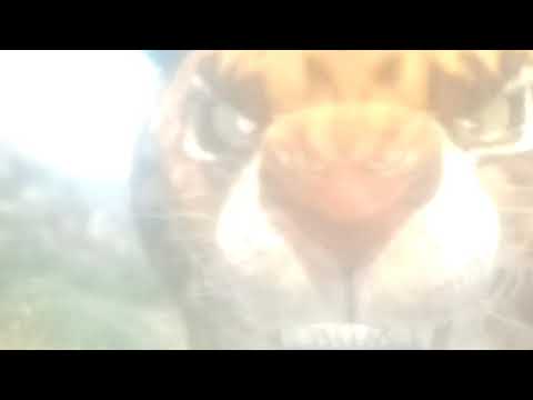 Kung Fu Mammoth Part 10 - Phango Escapes From Allias Movies In Swedish