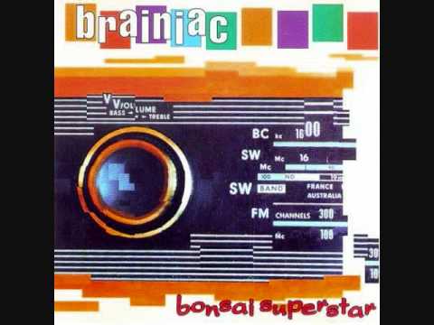 Brainiac - You Wrecked My Hair