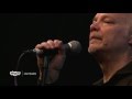 Curtis Salgado - I Know A Good Thing (101.9 KINK)