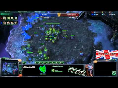 EGIdrA v Capoch - ZvP