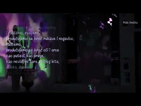 Miroslav Mika Antić - Poslednja bajka