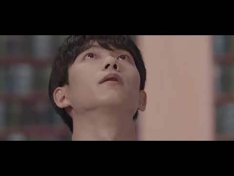 비디오 12