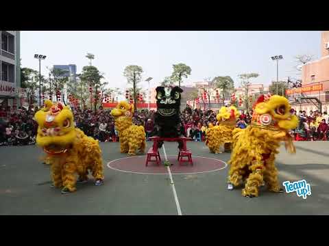 Team Up Now! Lesson 5 Culture