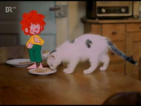 Pumuckl frühstückt mit einer Katze