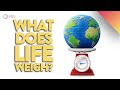 Biomass How Much Does Life On Earth Weigh