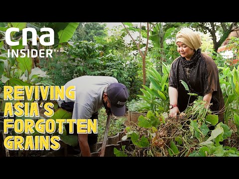 Better Than Rice? Traditional Crops That Taste Good, Can Resist Drought & Floods | Forgotten Palate