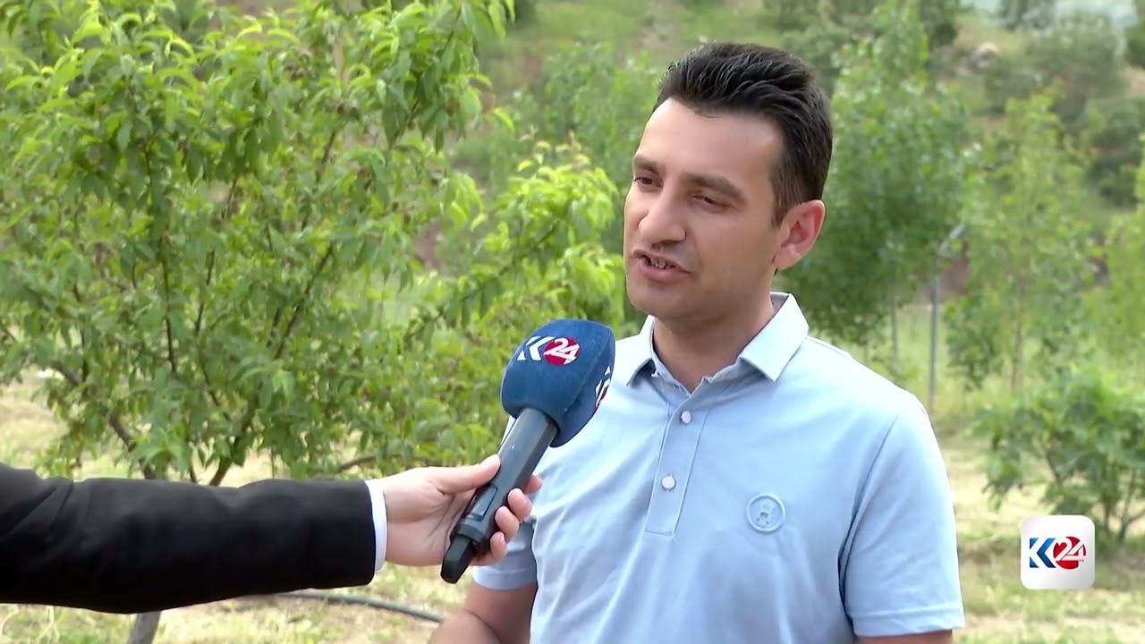 ڤیدیۆ | پۆندی گوندی تەلوە لە سنووری زاویتە سەرڕێژ بووە